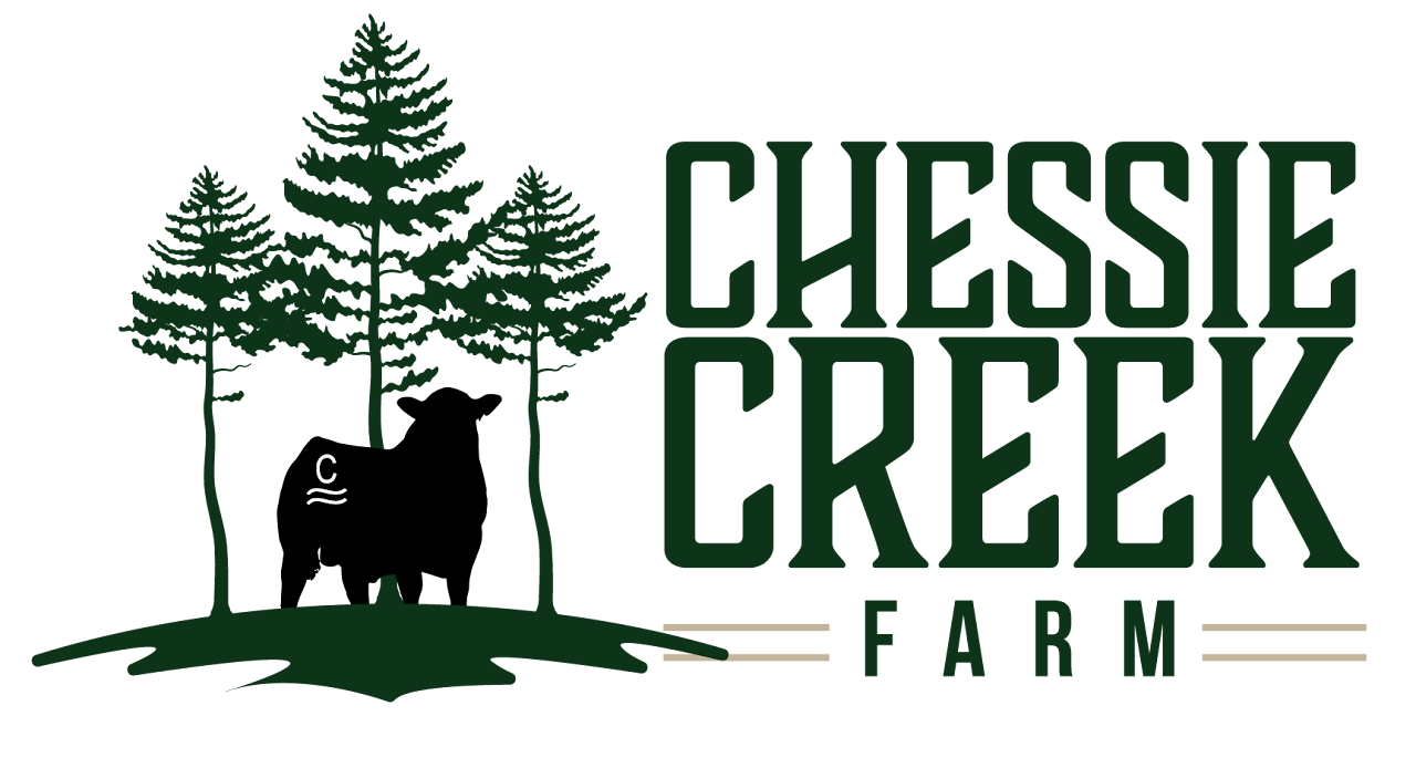 Chessie Creek Logo